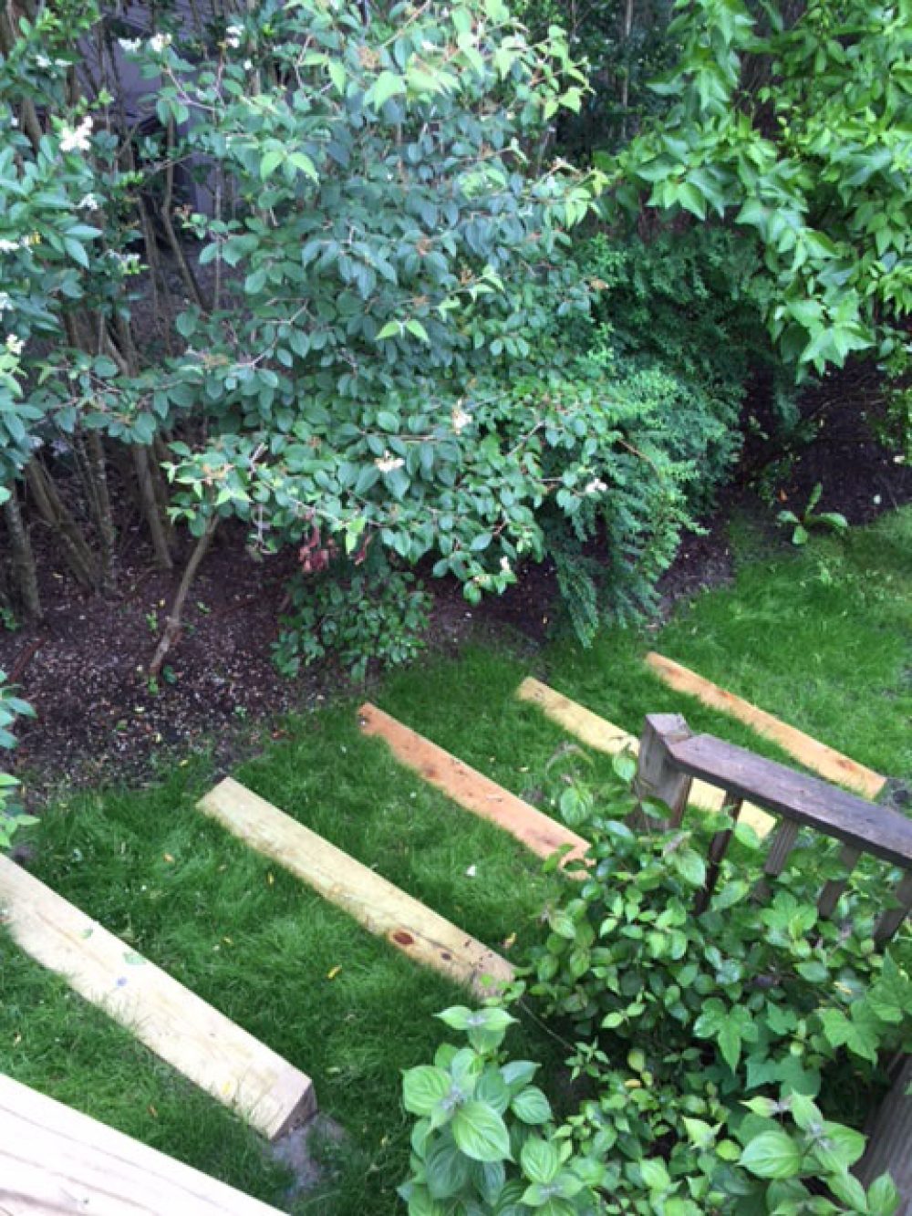 几块大木桩嵌在土里，可以作为连接房顶和院子的天然台阶。